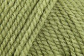 Stylecraft Special Aran