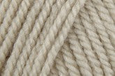Stylecraft Special Aran