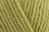 Stylecraft Special Aran
